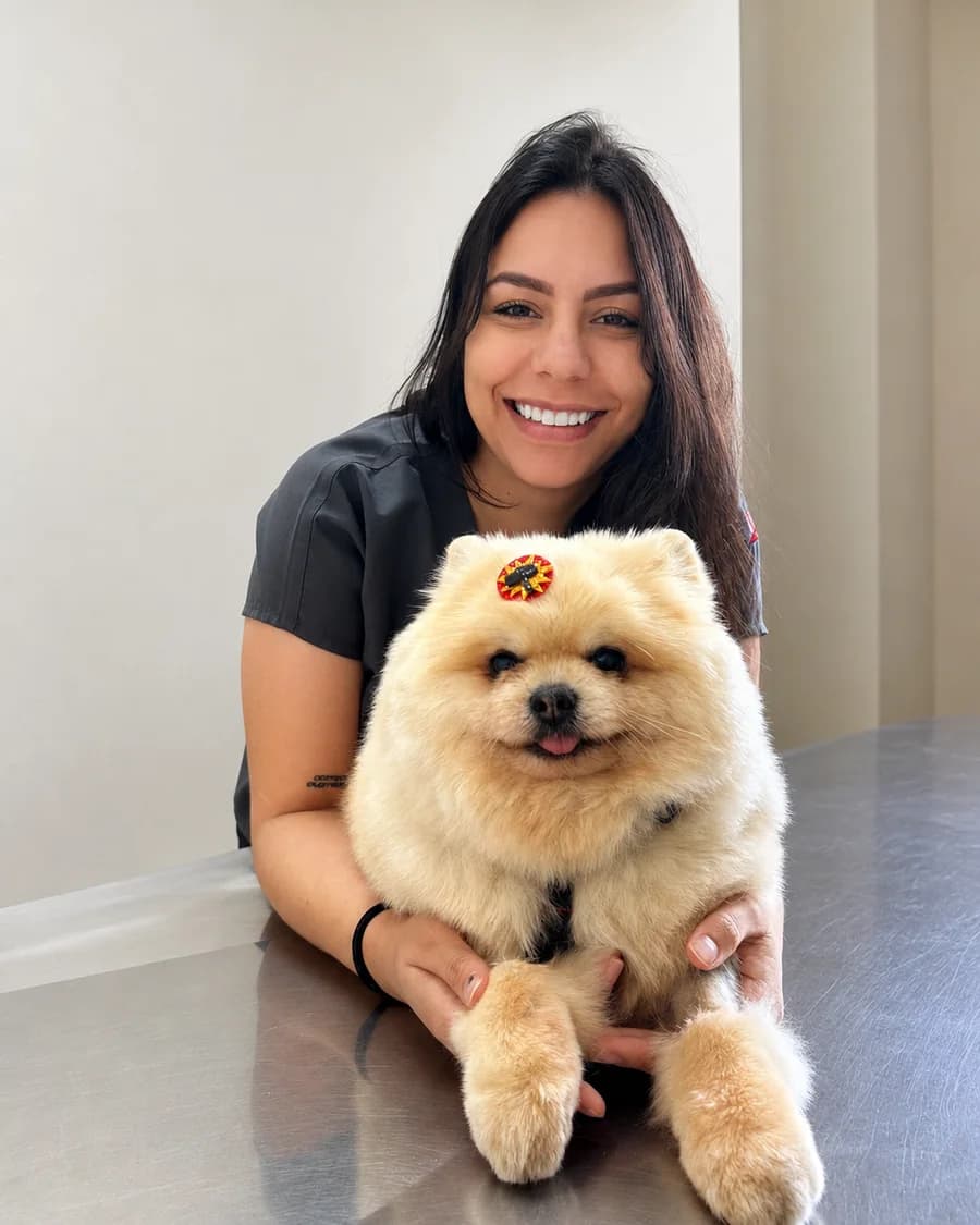 Dra. Carolina Torsani, Médica-veterinária · Nutróloga, com um paciente durante a consulta